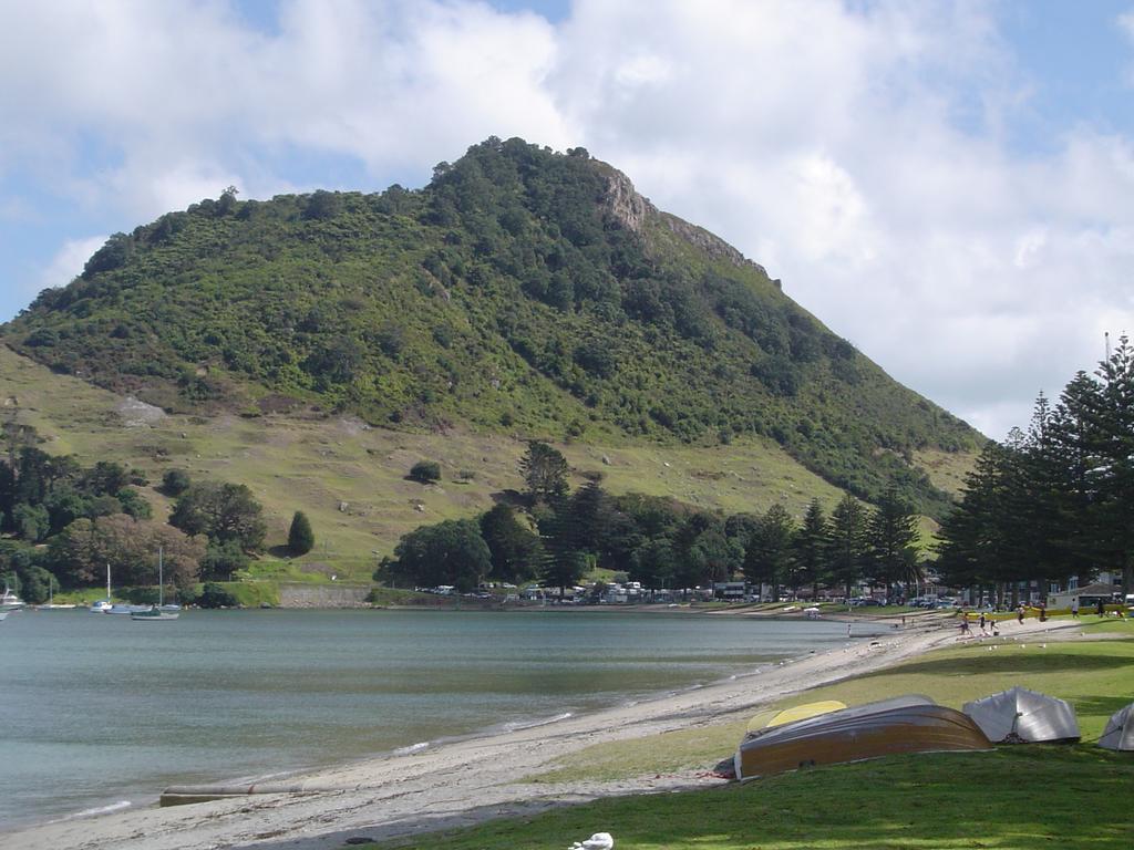 Seagulls Guesthouse Mount Maunganui Exteriér fotografie